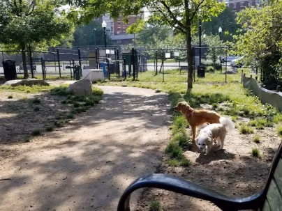 Dog Run Park at Carlyle photo 1